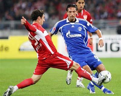 起为一支真 起为一支真